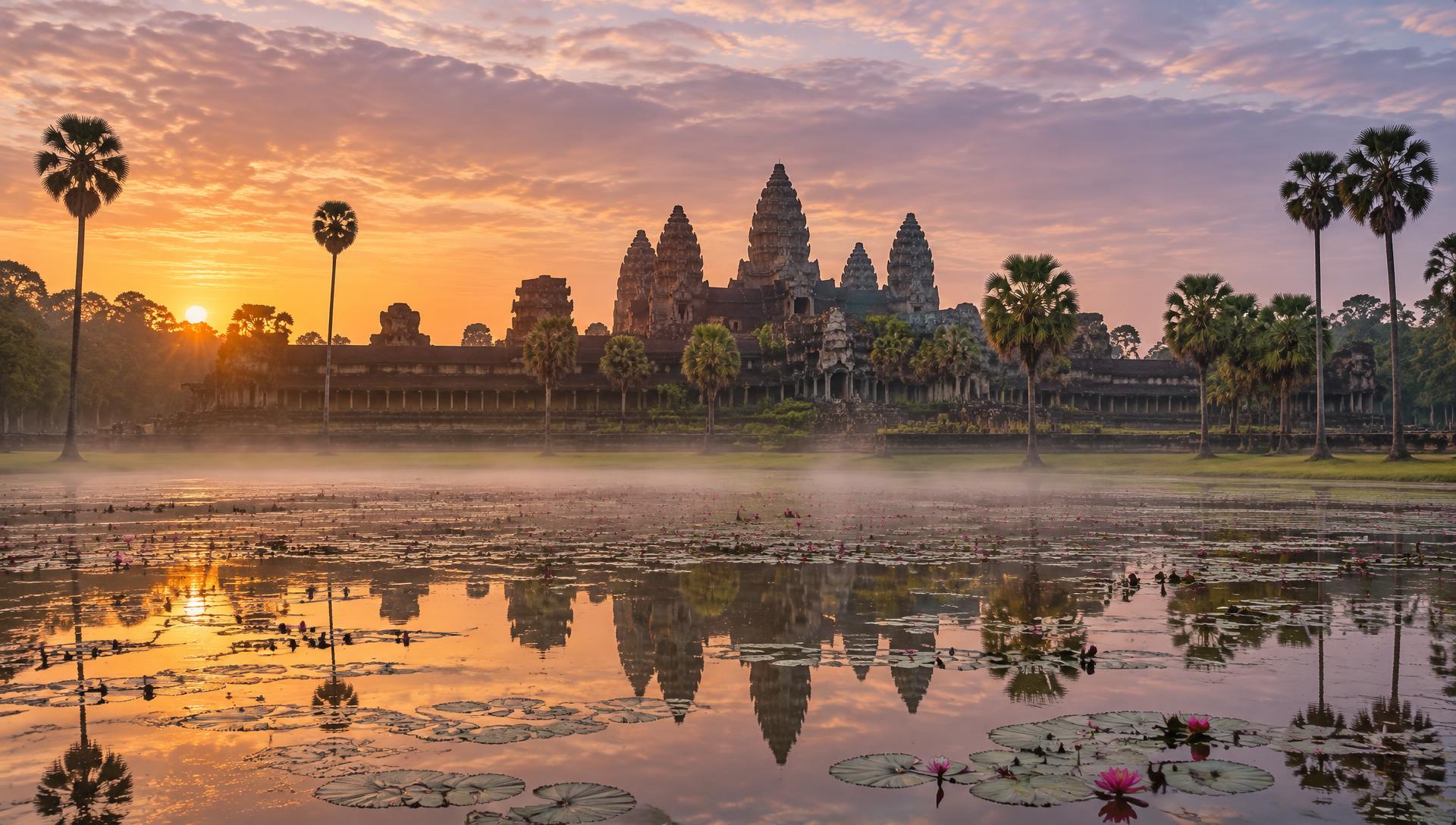 Sunrise over Angkor Wat lotus moat and sugar palms in Siem Reap, Cambodia